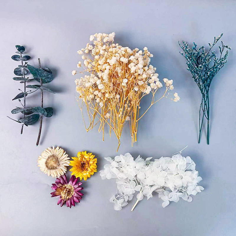 Craft Embellishment - Juego de flores secas múltiples para